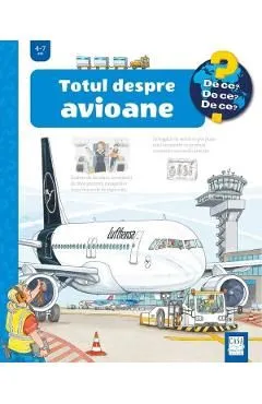 Totul despre avioane de Andrea Erne
