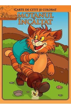 Motanul incaltat