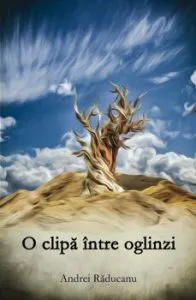 O clipa intre oglinzi de Andrei Raducanu