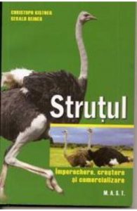 Strutul