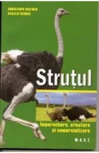 Strutul