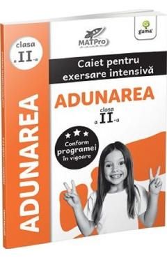Adunarea. Caiet pentru exersare intensiva - Clasa 2