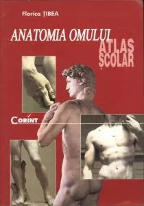Anatomia omului. Atlas scolar de Florica Tibea