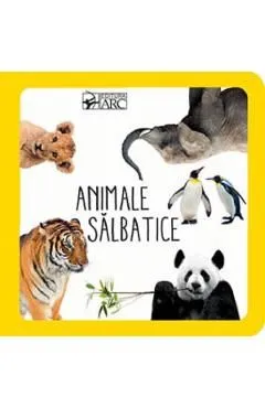 Animale salbatice de Autor Anonim