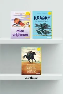 Dragonsdale (Vol. II) Călăreții furtunii de Salamanda Drake