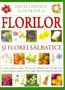 Enciclopedia ilustrata a florilor si florei salbatice