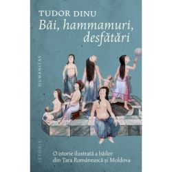 Bai, hammamuri, desfatari. O istorie ilustrata a bailor din Tara Romaneasca si Moldova