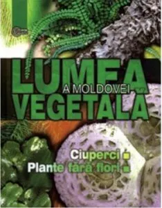 Ciuperci. Plante fara flori