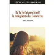 De la intristarea inimii la mangaierea lui Dumnezeu. Scrisori catre mireni -Sf. Ignatie Briancianinov de sf. Ignatie Briancianinov