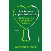 In cautarea copacului-mama