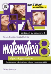 Matematica: algebra, geometrie - Clasa a VIII-a, Semestrul 2