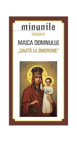 Minunile icoanei Maica Domnului „Caută la smerenie”