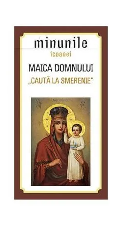 Minunile icoanei Maica Domnului „Caută la smerenie”
