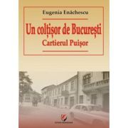 Un coltisor de Bucuresti. Cartierul Puisor