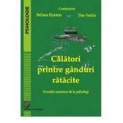 Calatori printre ganduri ratacite. Povestiri autentice de la psihologi de Steliana Rizeanu