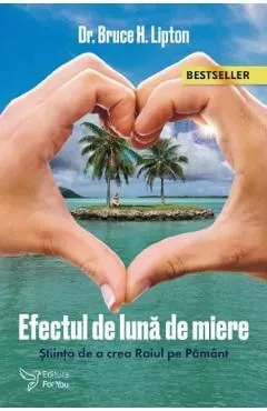 Efectul de luna de miere de Bruce H. Lipton