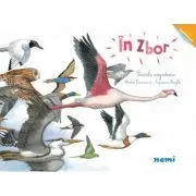 In zbor de Capucine Mazille