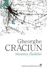 Mecanica fluidului de Gheorghe Craciun