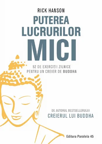 Puterea lucrurilor mici de Rick Hanson