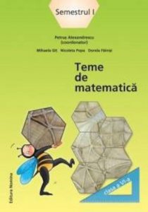 Teme de matematica Clasa a VI-a Semestrul 1