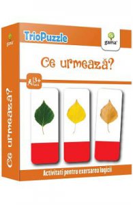 TrioPuzzle: Ce urmeaza? 3 ani