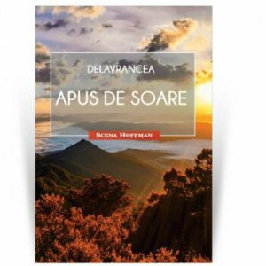 Apus de soare