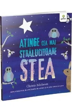 Atinge cea mai stralucitoare stea de Christie Matheson