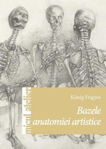 Bazele anatomiei artistice