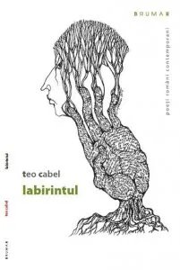 Labirintul de Teo Cabel