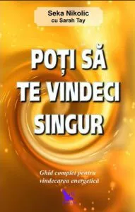 Poti sa te vindeci singur de Seka Nikolic