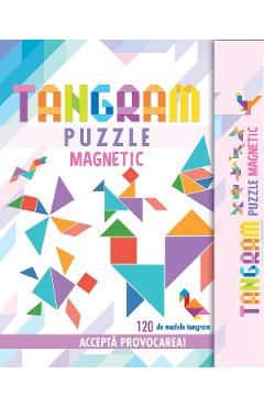 Tangram puzzle magnetic