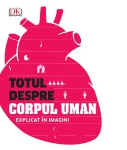 Totul despre corpul uman