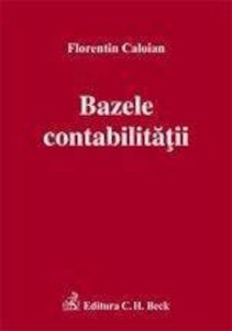 Bazele contabilitatii