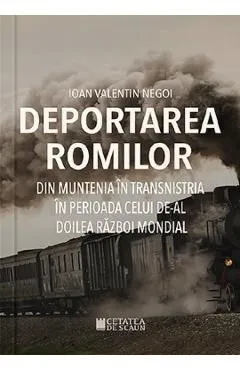 Deportarea romilor din Muntenia in Transnistria de Ioan Valentin Negoi