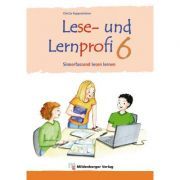 Lese- und Lernprofi 6 Schulerarbeitsheft silbierte Ausgabe Leseheft