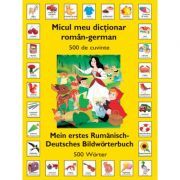 Micul meu dictionar Roman