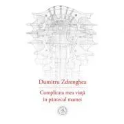 Complicata mea viata in pantecul mamei de Dumitru Zdrenghea