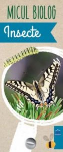 Insecte - Jetoane
