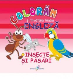 Insecte si pasari. Coloram si invatam limba engleza