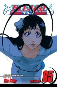 Bleach, Vol. 65 de Tite Kubo