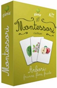 Arbori: frunze, flori, fructe. Clasificare. Montessori
