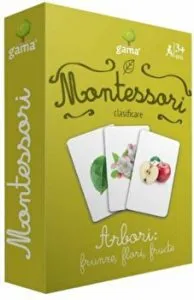 Arbori: frunze, flori, fructe. Clasificare. Montessori