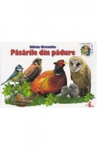 Pasarile din padure de Silvia Ursache