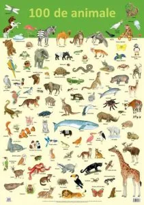 Plansa 100 de animale de Nelson Verlag