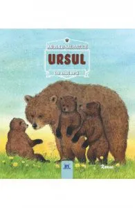Animale salbatice in natura de Ursul