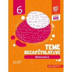 Matematica. Teme recapitulative. Clasa a 6-a