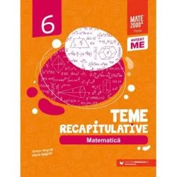 Matematica. Teme recapitulative. Clasa a 6-a de Anton Negrila