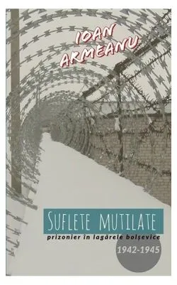 Suflete mutilate de Ioan Armeanu