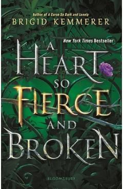 A Heart So Fierce and Broken