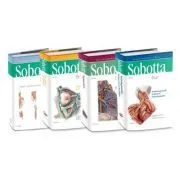 Atlas de anatomie a omului Sobotta, set 3 volume de Friedrich Paulsen